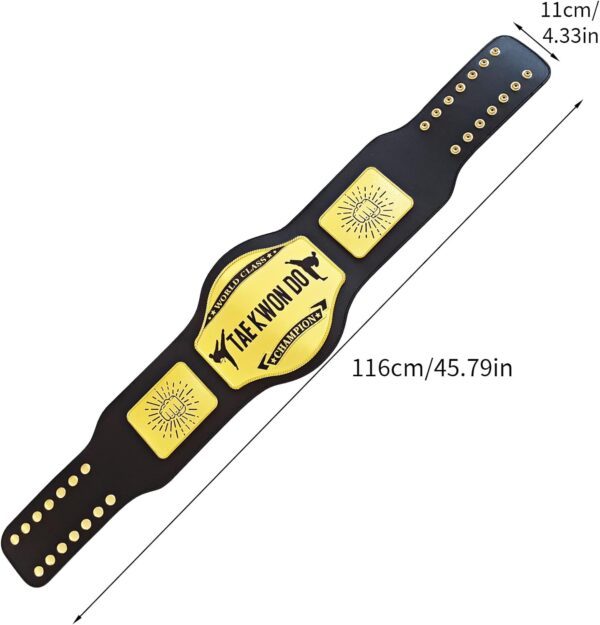 Taekwondo Championship Belt