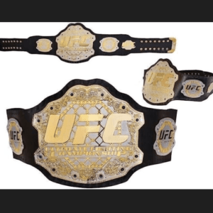 FIGHTING CHAMPIONSHIP REPLICA TITLE BELT